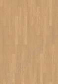 Classic Oak