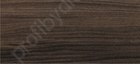 American Nut Tree
