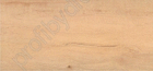 Lakeshore Beech