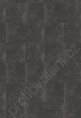 Black Oilshale